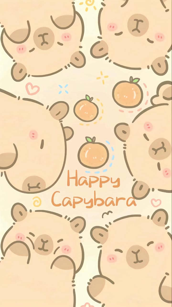 Hình nền điện thoại Capybara cute đáng yêu