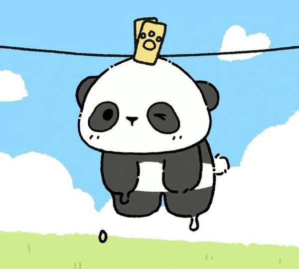 Panda avatar ảnh gấu trúc cute