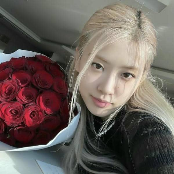 Ảnh avatar hình Rose