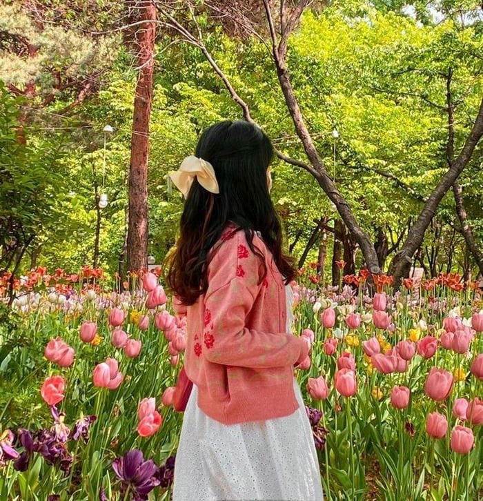 Hình avatar hoa tulip đẹp