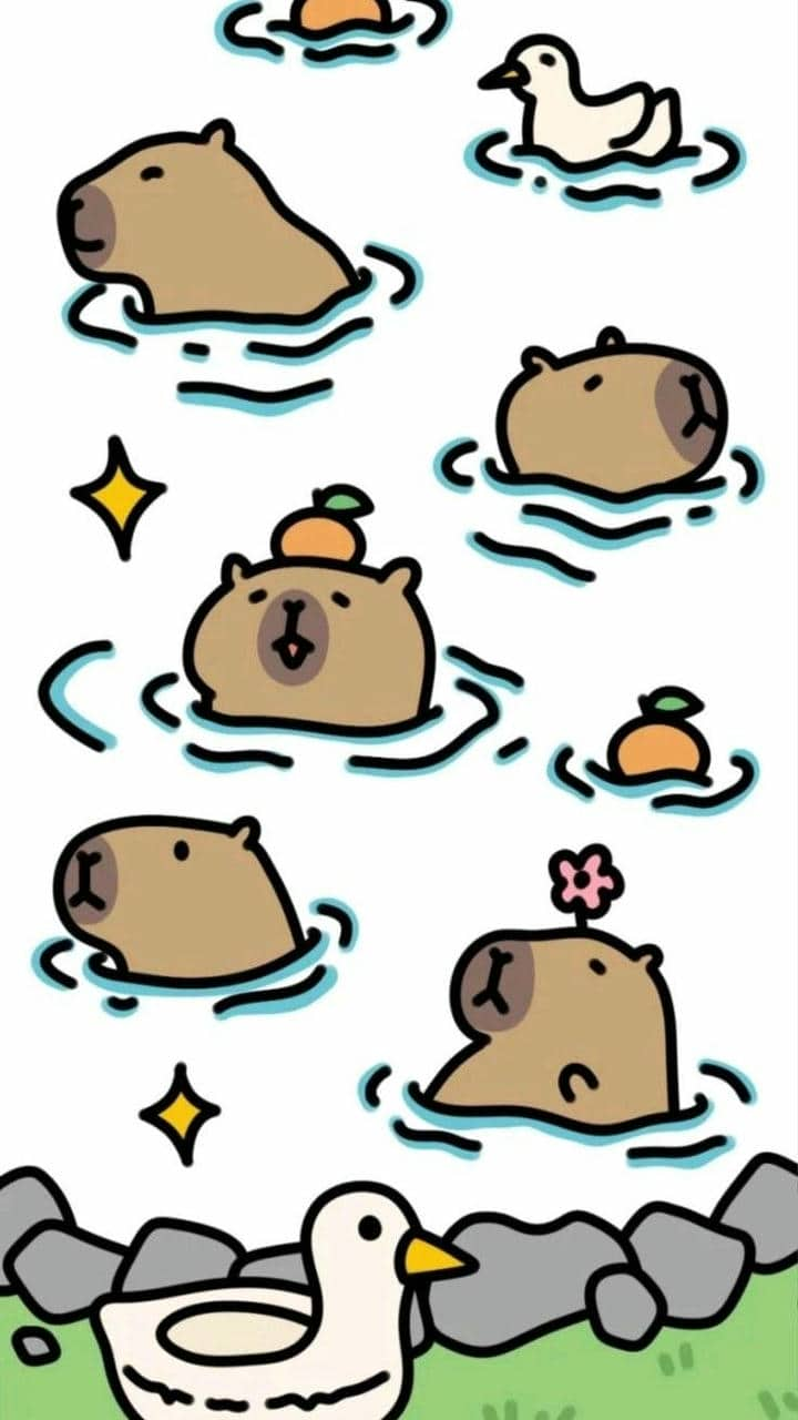 Ảnh hình nền Capybara siêu đáng yêu