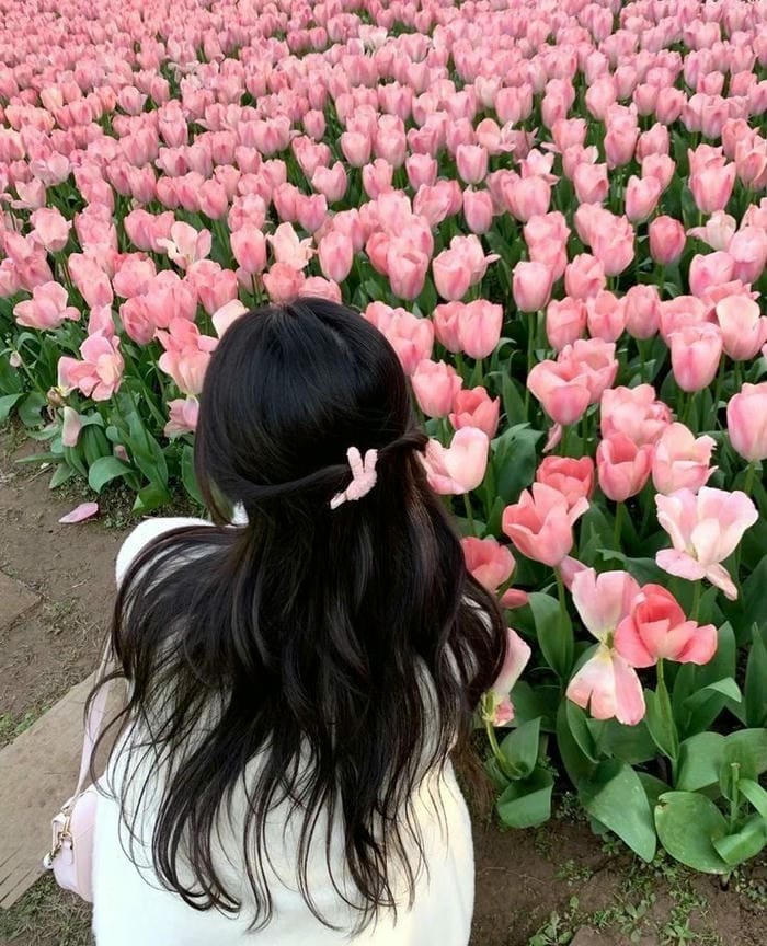 Hình ảnh avatar hoa tulip đẹp