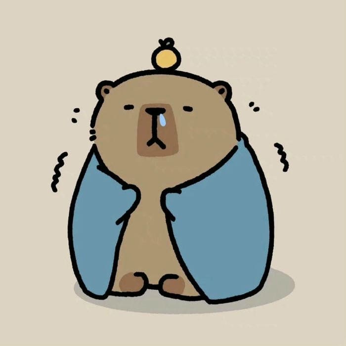 Ảnh avatar Capybara vô tri dễ thương