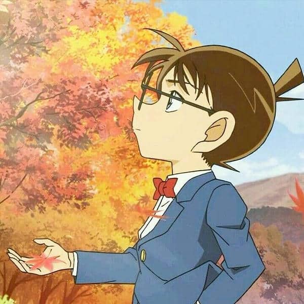 Avatar anime Conan