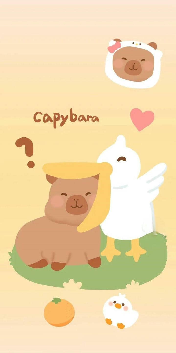 Hình nền Capybara vô tri